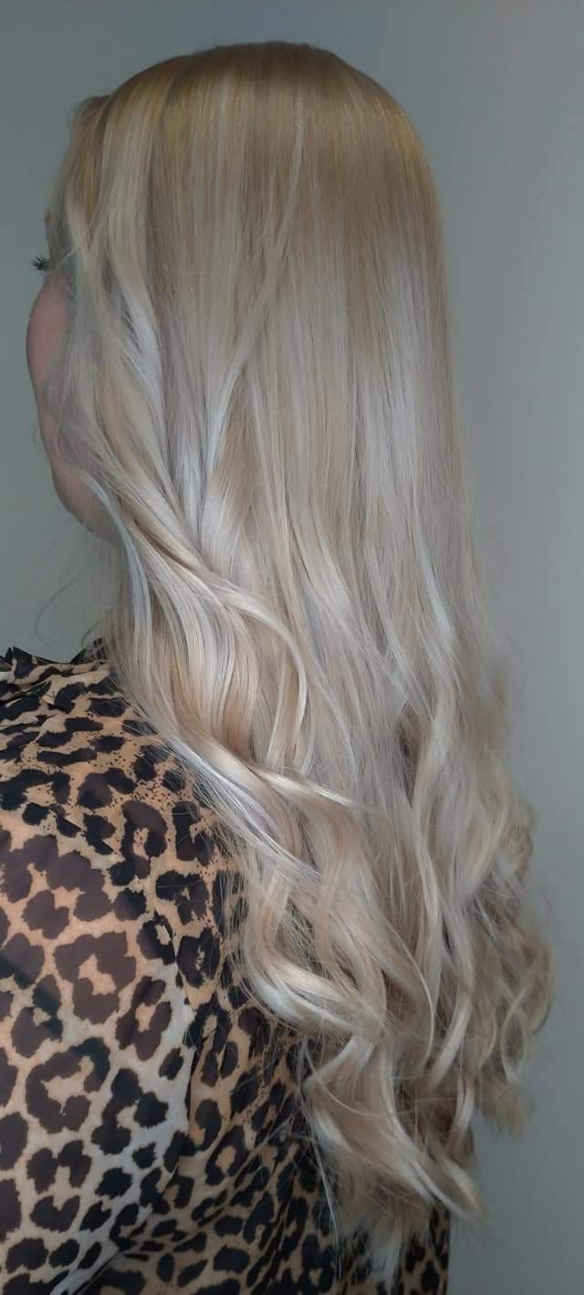 hairforce-hundvaag-5